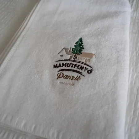 Mamutfenyo Panzio Couette-café Tata