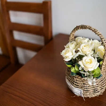 Bed & Breakfast Mamutfenyo Panzio